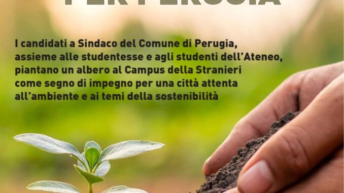 Un Albero per Perugia