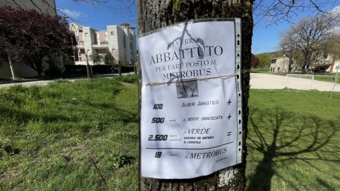 Perugia, abbattimento alberi, Metrobus, Ginkgo, conservazione ambientale