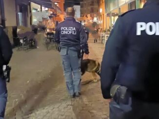 Sicurezza notti ternane, cane Isco trova droga e spacciatori