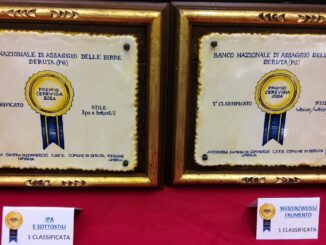 Premio Cerevisia 2024: Le Migliori Birre Artigianali d'Italia Premiate a Perugia
