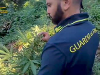 Finanza, 110 mila indagini con un milione e mezzo di interventi