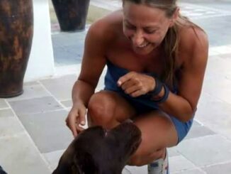 Elezioni, Linda Boranga: «Il mio amore per gli animali»