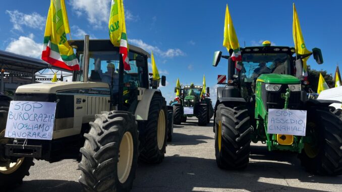 "Basta Cinghiali": Coldiretti mobilita 3000 agricoltori a Perugia