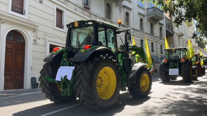 "Basta Cinghiali": Coldiretti mobilita 3000 agricoltori a Perugia