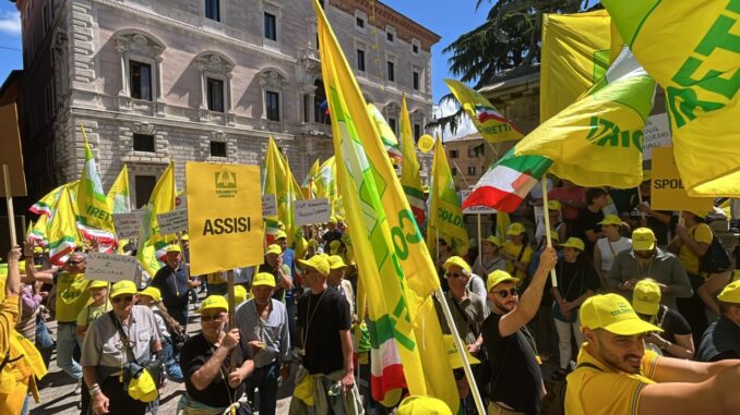 "Basta Cinghiali": Coldiretti mobilita 3000 agricoltori a Perugia