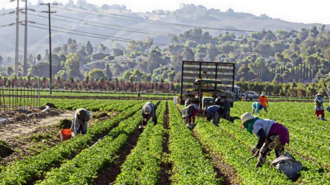 Perugia e Ancona: accordo su caporalato e sicurezza lavoro