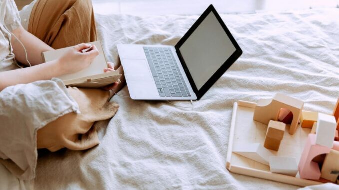 Unilapis 2024: Un’opportunità unica per gli studenti universitari di esprimere la loro creatività