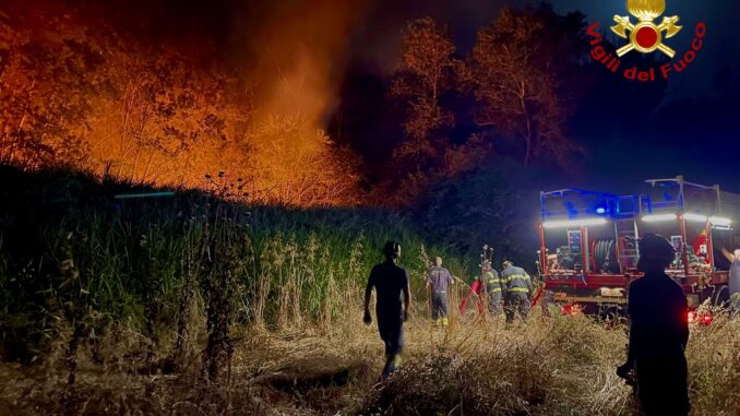 Incendio tra Bomarzo e Attigliano domato: in corso operazioni di bonifica