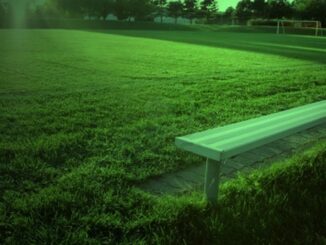 La Panchina Verde: Un Omaggio ai Campioni del Calcio Umbro