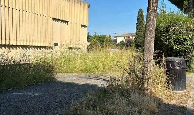 Sindaco Proietti Sollecita Poste Italiane per Degrado Uffici Postali