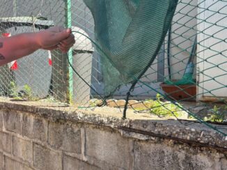 Furto Notturno al Distributore di Viale Borzacchini a Terni
