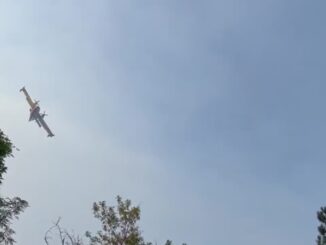 Rinascita Dopo l'Incendio: La Vegetazione di Poreta si Rigenera