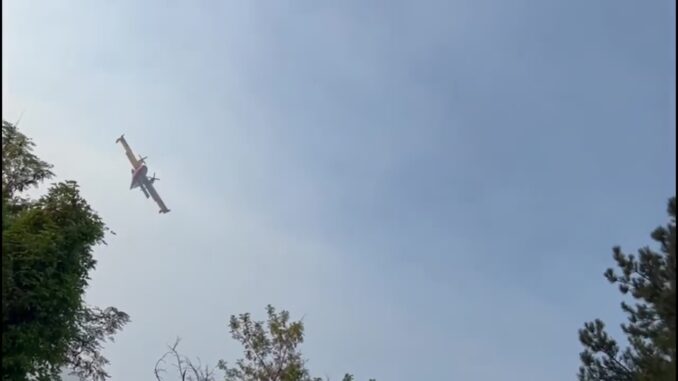 Rinascita Dopo l'Incendio: La Vegetazione di Poreta si Rigenera