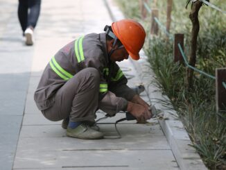 Volano imprese e lavoratori stranieri, boom di assunzioni di personale immigrato