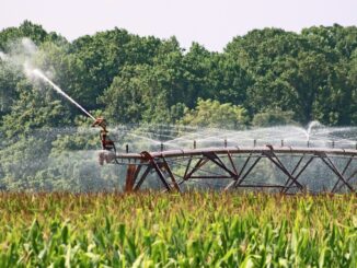 Ordinanza per il Risparmio e l'Uso Razionale dell'Acqua in Vigore