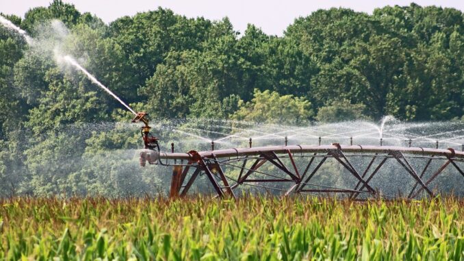 Ordinanza per il Risparmio e l'Uso Razionale dell'Acqua in Vigore