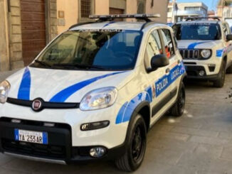 Investe un cane, denunciato identificato grazie a telecamere