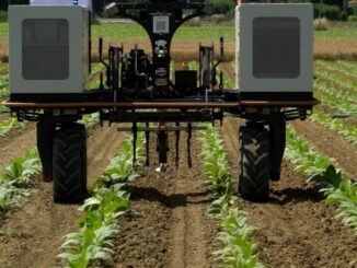 Innovazione tabacchicoltura: Philip Morris e Cesar testano robotica