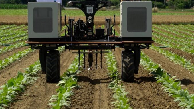 Innovazione tabacchicoltura: Philip Morris e Cesar testano robotica