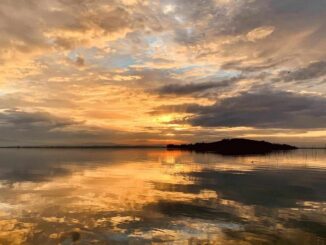 Festival Tramonti: Successo Straordinario e Prospettive Futuro