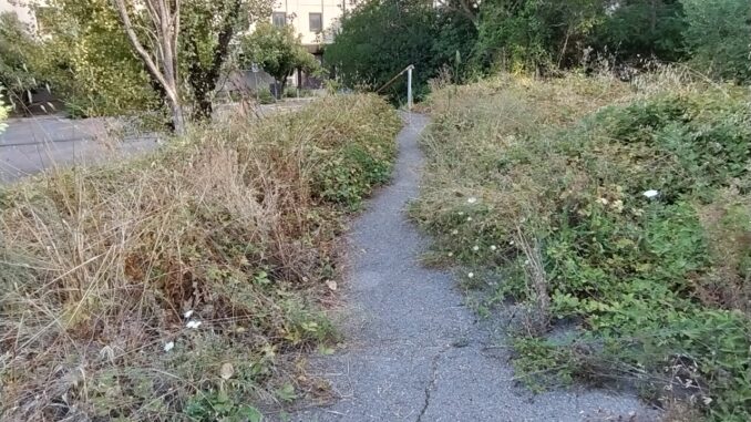 Esplorando gli spazi verdi. Perugia Open City dice la sua