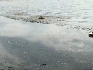 Lago Trasimeno: No al Catastrofismo Climatico, dice Pasquinelli