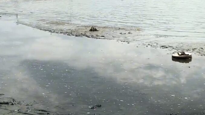 Lago Trasimeno: No al Catastrofismo Climatico, dice Pasquinelli
