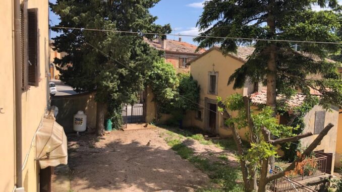 Afor vince contro il ricorso dell'associazione Monte Peglia