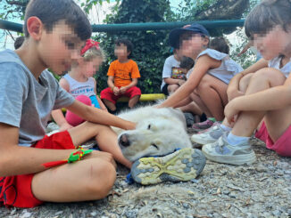 A Perugia nasce il primo centro regionale di Pet therapy