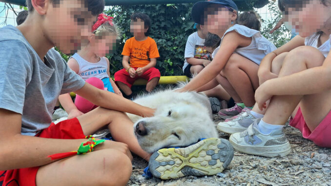 A Perugia nasce il primo centro regionale di Pet therapy
