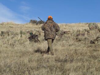 Loretoni (Libera Caccia) critica modifiche al Calendario venatorio