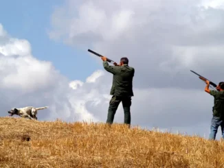 Ritorno alla normalità: il TAR respinge ricorso ambientalista caccia