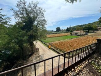 Percorso Fluviale Ponte Pattoli-P.te S.Giovanni: Proseguono i lavori