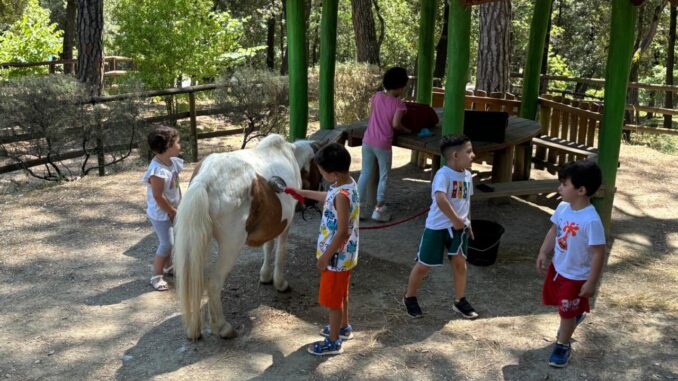 Pony per i Bambini del Chianelli: Un Progetto di Interventi Assistiti