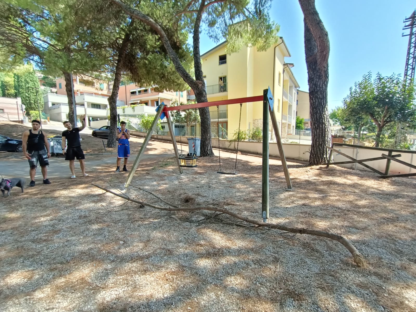 Ramo cade su bambina mentre va sull'altalena
