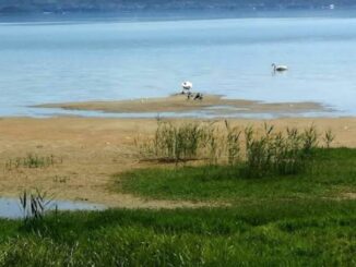Iniziativa per il Trasimeno: camminata di 12 km sulle nuove sponde