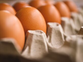 Richiamo cautelativo di uova fresche per rischio salmonella