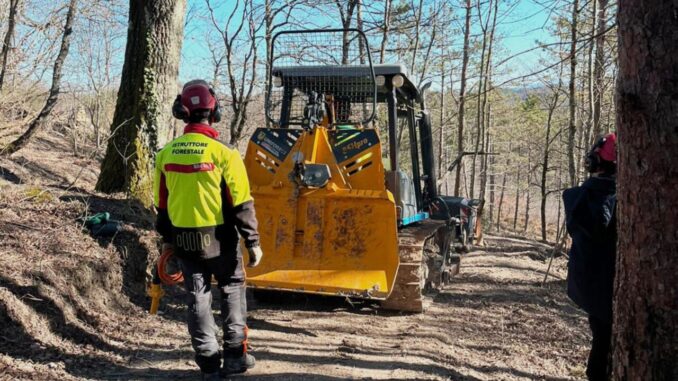 Nuove Assunzioni per Afor Umbria