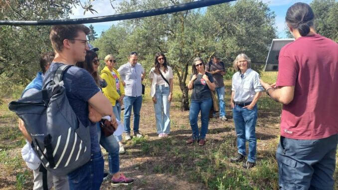 Nuovo progetto SafeH2OFarm per la sostenibilità agricola nel Mediterraneo