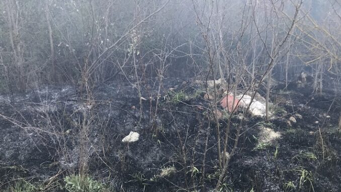 Perugia: cittadini preoccupati per aree a rischio incendi non curate
