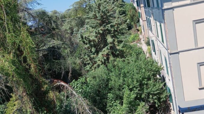 Perugia: cittadini preoccupati per aree a rischio incendi non curate