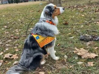 Progetto Umbria: Unità Cinofile Antiveleno in azione per l'ambiente