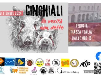 Manifestazione Cinghiali – Le verità non dette, sabato 21 settembre a Perugia