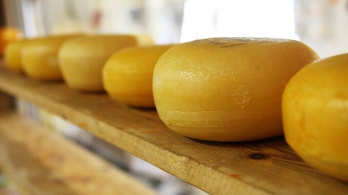 Corso per assaggiatori di formaggi a Perugia: presentazione il 20/9