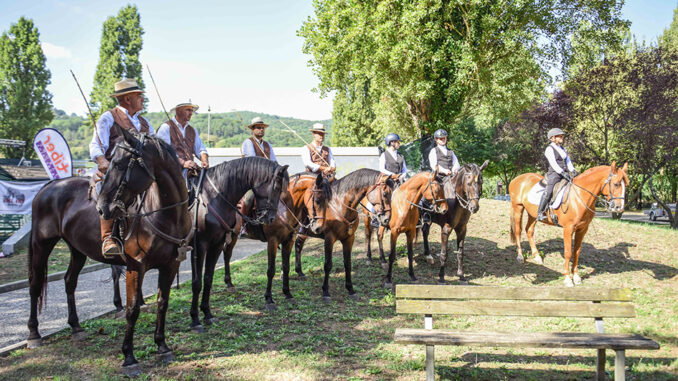 Inaugurata la Mostra del Cavallo, un simbolo di inclusione sociale