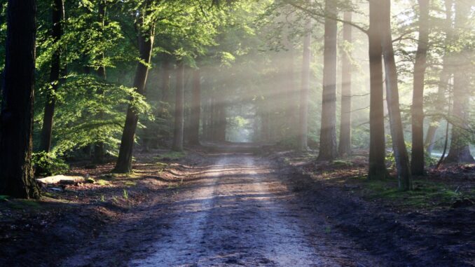 Formazione avanzata per Natura 2000: in Umbria al via i nuovi corsi