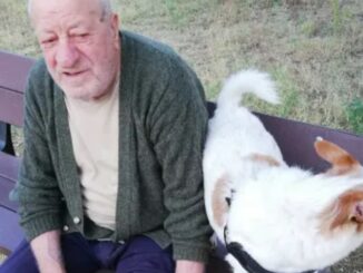 Armando. Il solitario, forzato, del Parco Pascoletti