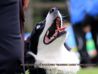Protezione civile, positive le ricerche di scomparsi in Umbria