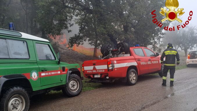 Si perde nei boschi di Allerona, ritrovata dai Vigili del Fuoco