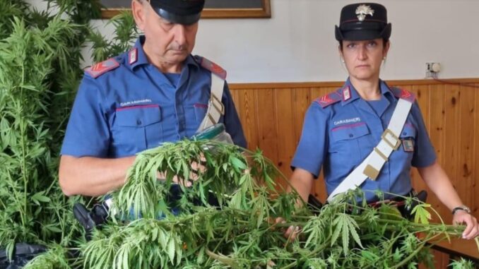 Intensificati i controlli dei Carabinieri contro lo spaccio di droga